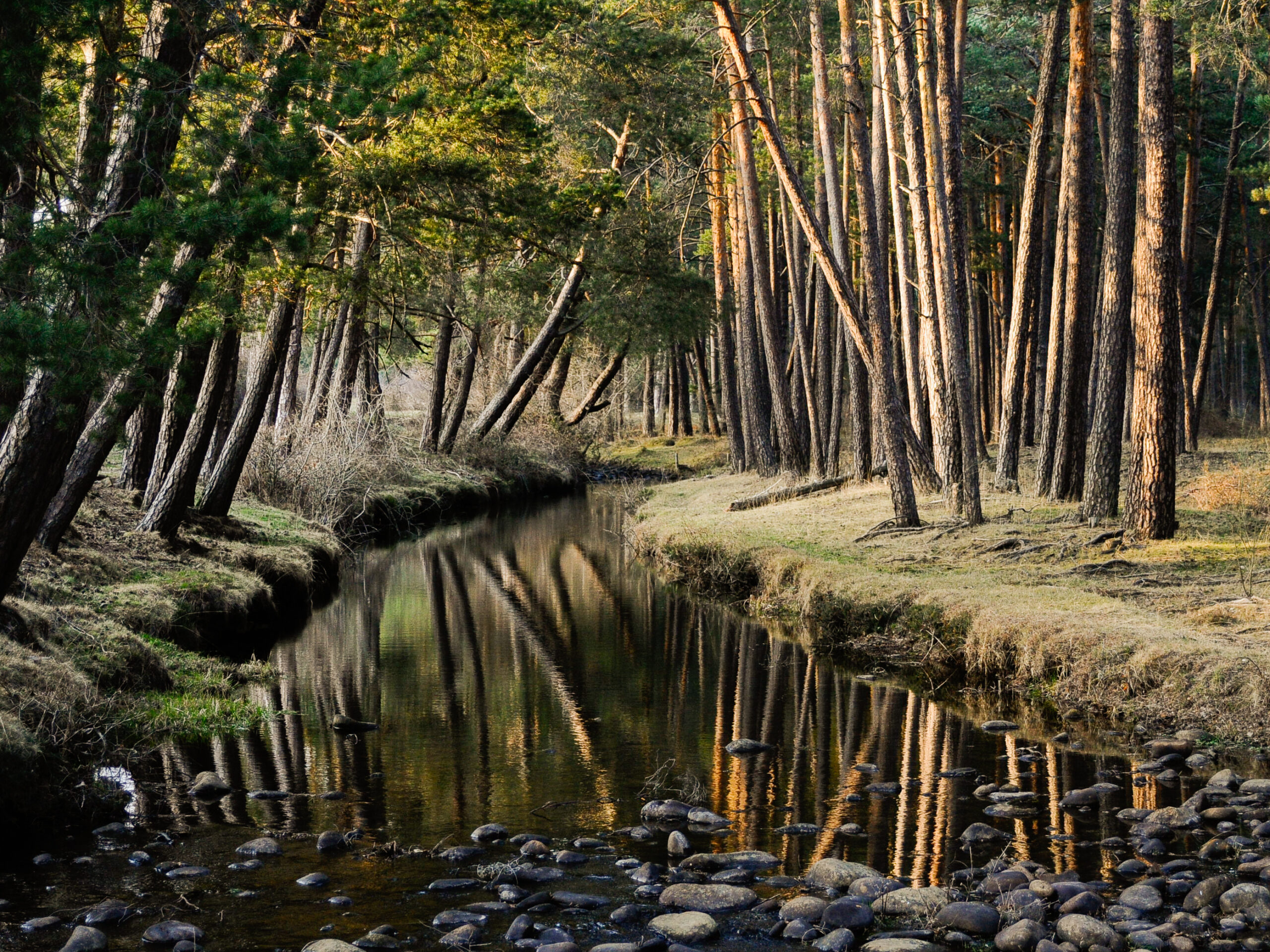 Las rutas de naturaleza más icónicas de Soria desde nuestra finca