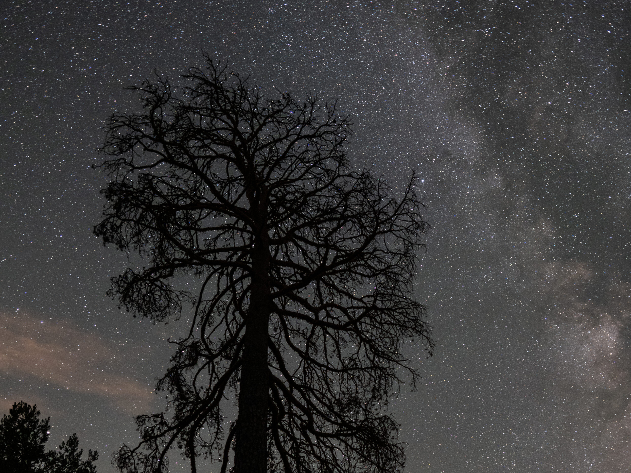 Paseos nocturnos para adentrarte en el cielo estrellado de Soria. Astroturismo activo.