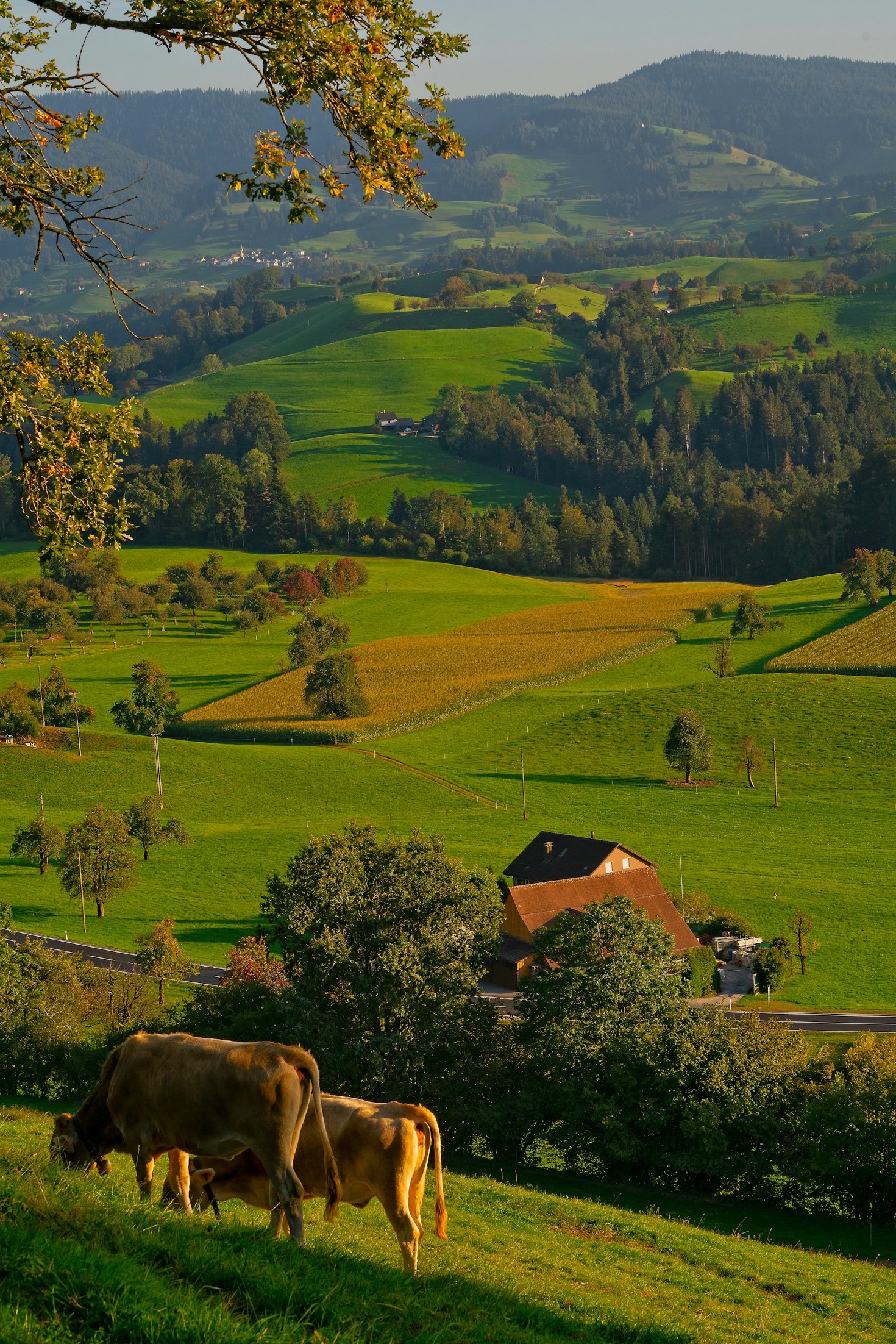 Las rutas de naturaleza más icónicas de nuestra finca